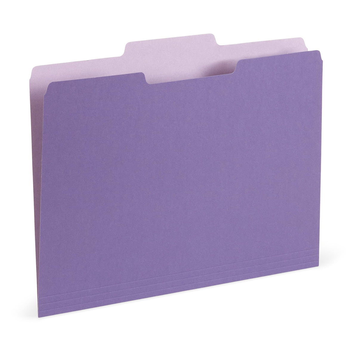 Blue Summit Supplies 100 File Folders, Letter Size, Two-Tone Orange