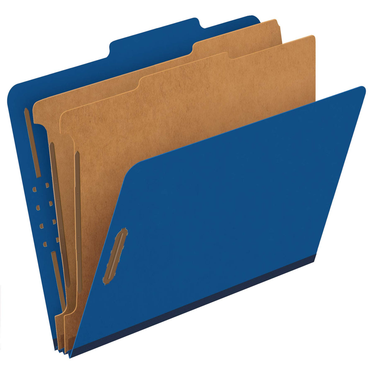 Pendaflex Classification File Folders,1 Divider, Durable File Organizer for Home, School or Office, Letter-Size Folders for Files, Paper Organizer, Durable Prongs, (B006NVMJCC)