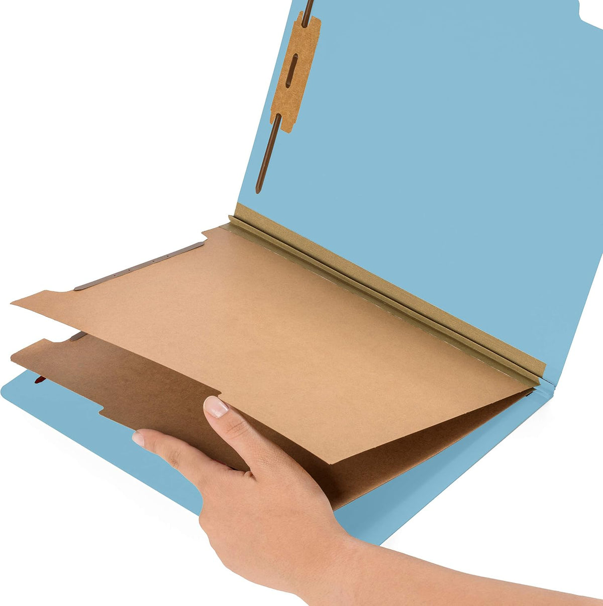 Blue Summit Supplies 10 Classification Folders, 2 Divider, Light Blue